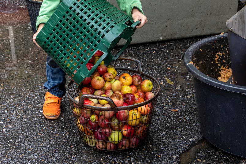 Nachhaltigkeit lernen