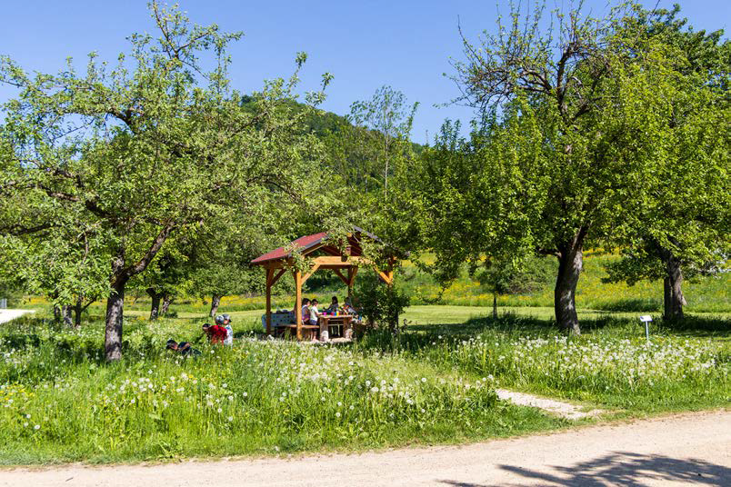 Kulturelles Erbe vermitteln Streuobstpädagogik