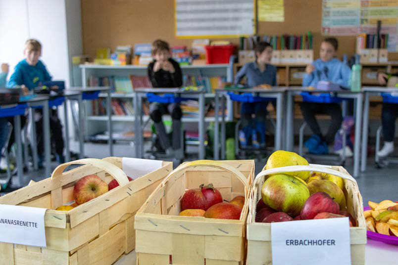 Artenvielfalt verstehen