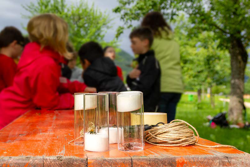 Naturerfahrung fördern