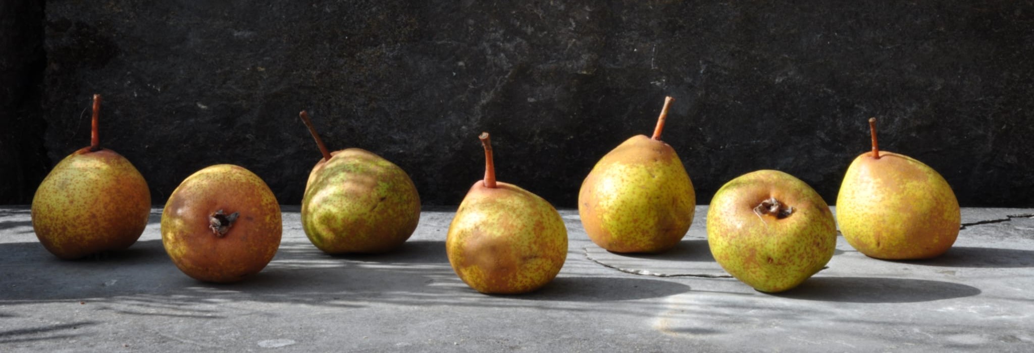 Schwäbische Obstarche - Werdegang, Philosophie und Ziele