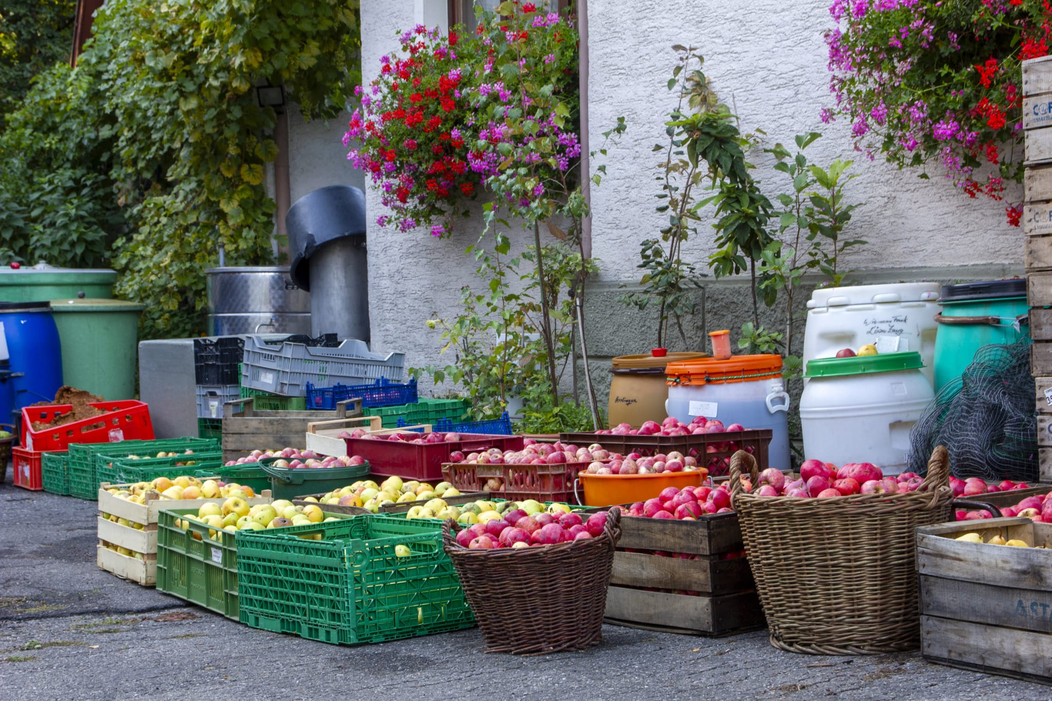 August Kottmann - Most, Säfte, Cider