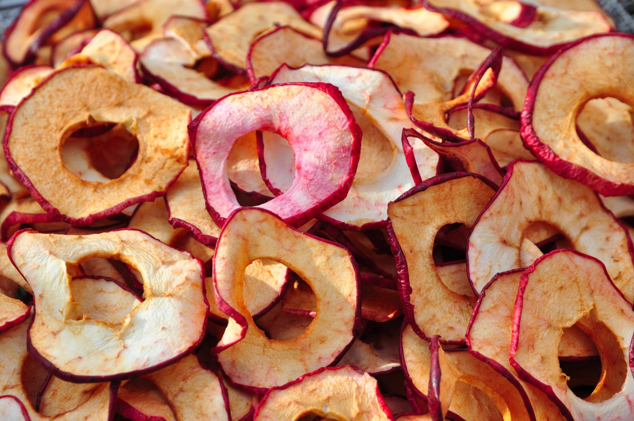 Aromen und Geschmäcker der alten Sorten - Schwäbischen ObstArche